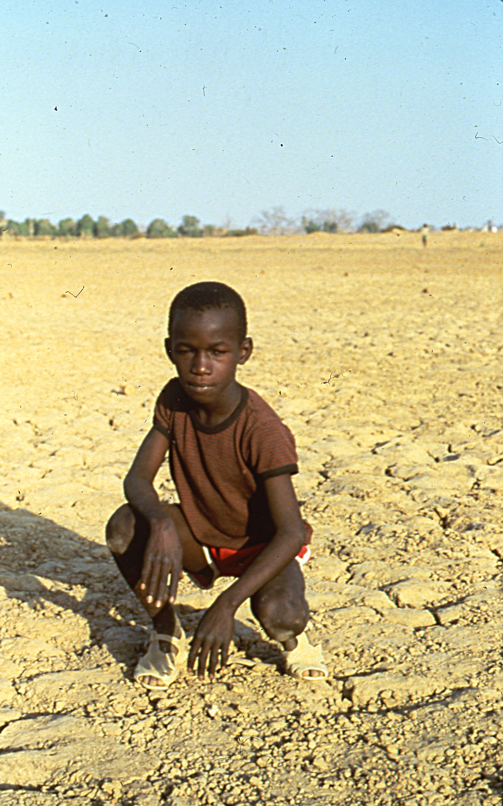 Photo du terrain au Mali
